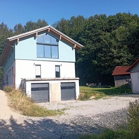 Fewo Wiesenblick Waldmünchen Eksteriør bilde