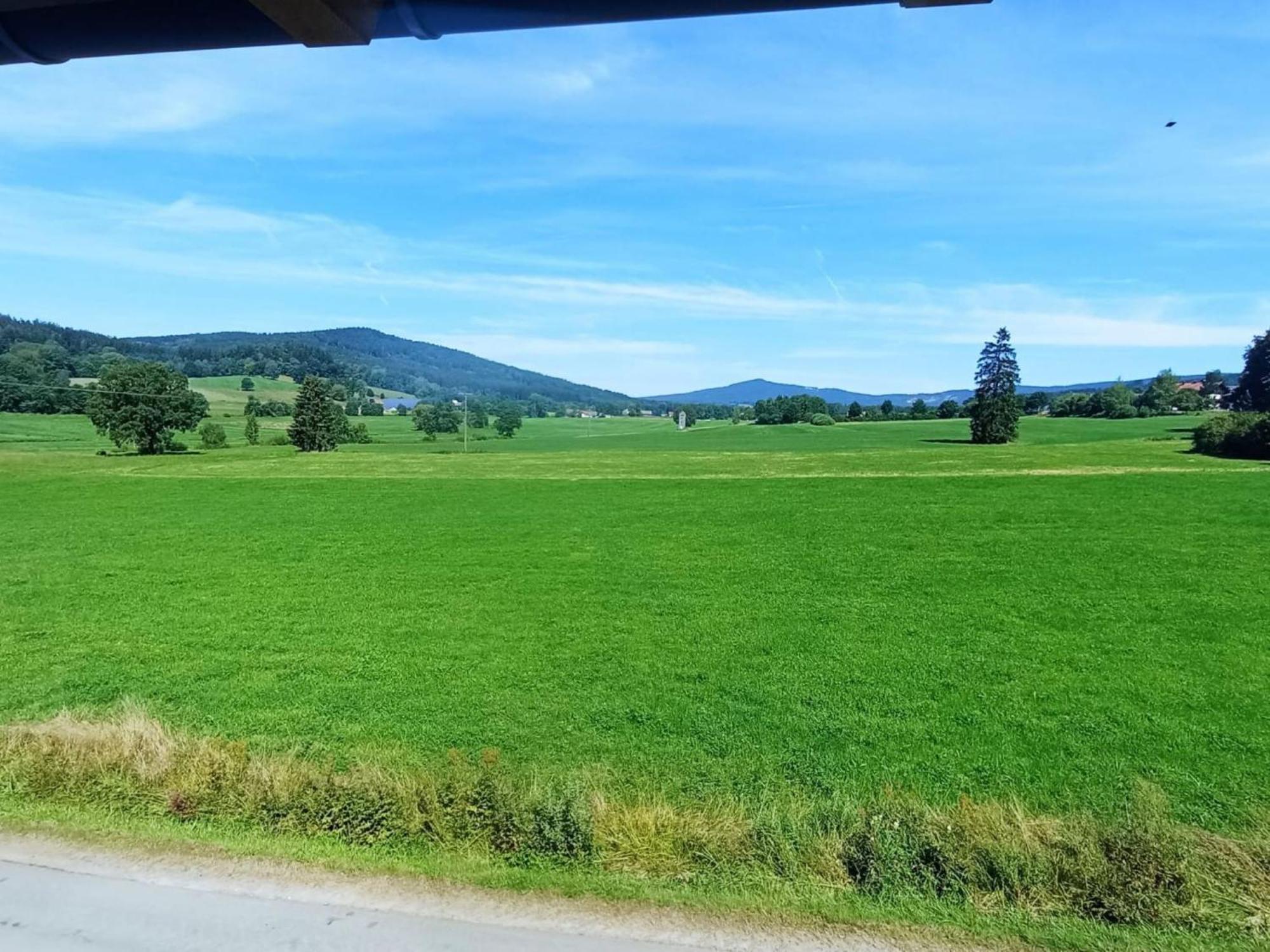 Fewo Wiesenblick Waldmünchen Eksteriør bilde