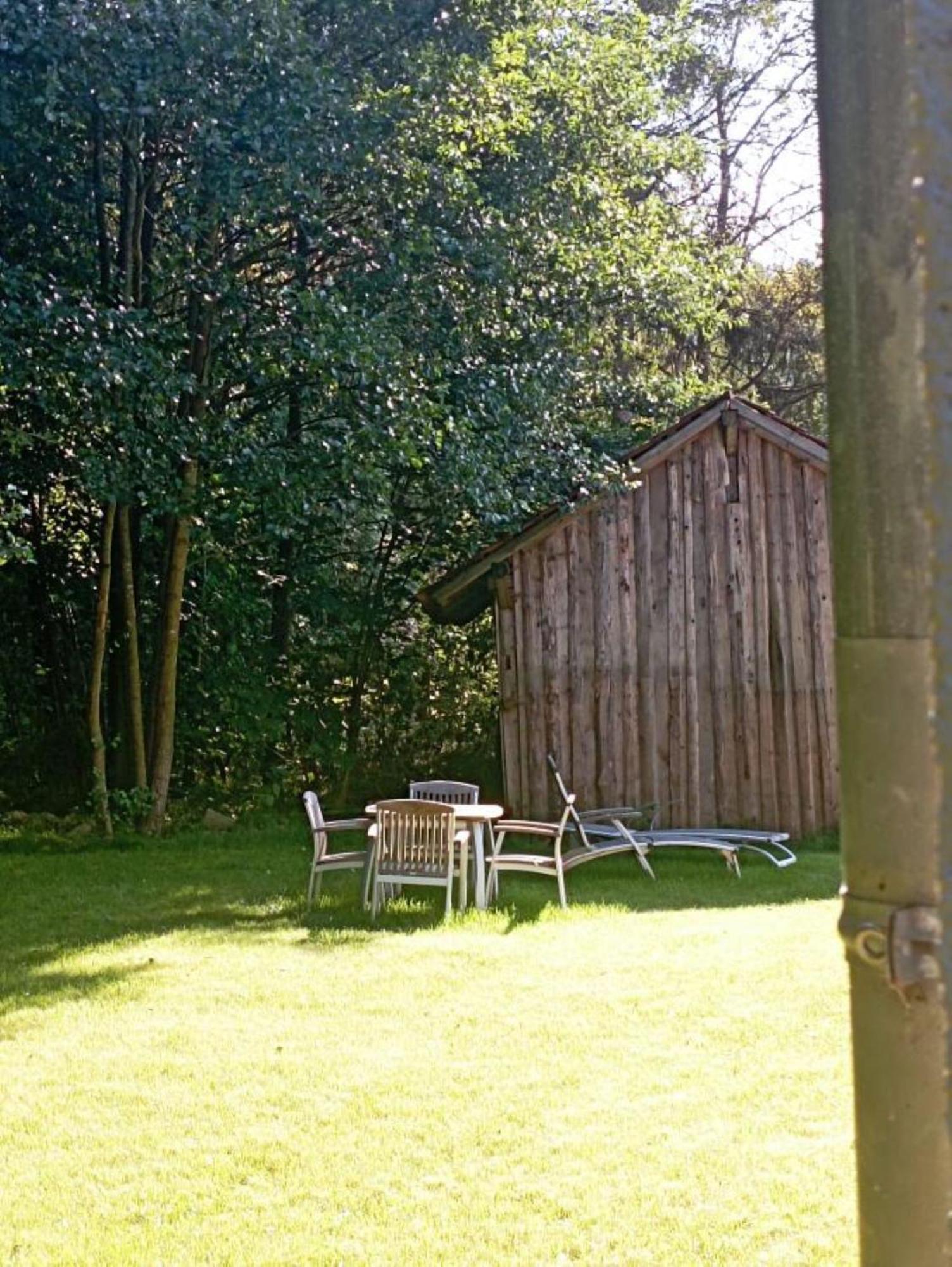 Fewo Wiesenblick Waldmünchen Eksteriør bilde